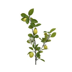 LEMON BRANCH WITH FLOWERS